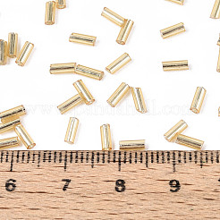 Glass Bugle Beads&nbsp;SEED-R011-22