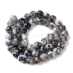 Dyed & Heated Natural Fire Crackle Agate Beads Strands&nbsp;G-P539-B01-14