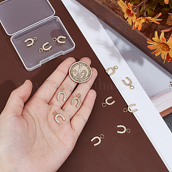 12Pcs Brass Micro Pave Cubic Zirconia Charms&nbsp;KK-BC0014-45A