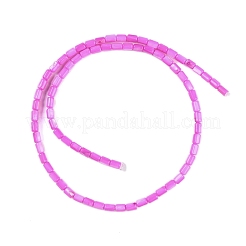 Natural Freshwater Shell Beads Strands&nbsp;BSHE-H109-17B