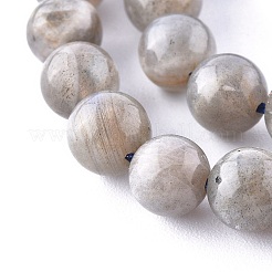 Natural Labradorite Beads Strands&nbsp;G-G212-8mm-23