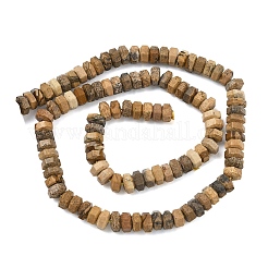 Natural Picture Jasper Beads Strands&nbsp;G-L654-I07-01