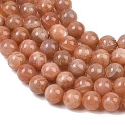 Natural Sunstone Beads Strands&nbsp;G-G323-A01-10mm