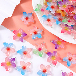 30Pcs Resin Pendants&nbsp;RESI-BM0001-06B