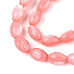 Natural Trochus Shell Beads Strands&nbsp;SHEL-K006-19-01E
