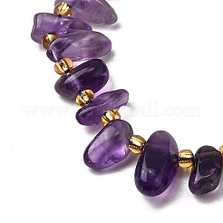 Natural Amethyst Beads Strands&nbsp;G-Z091-A13
