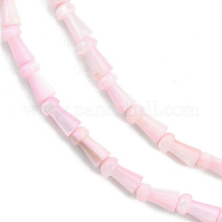 Natural Freshwater Shell Beads Strands&nbsp;SHEL-G013-02G