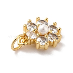Rack Plating Brass Micro Pave Cubic Zirconia Charms&nbsp;KK-A160-22G