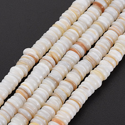 Natural Freshwater Shell Beads Strands&nbsp;SHEL-T018-31