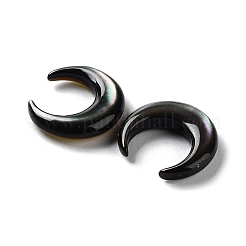 Natural Black Lip Shell Beads&nbsp;SHEL-M020-04A