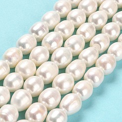 Natural Cultured Freshwater Pearl Beads Strands&nbsp;PEAR-E016-061