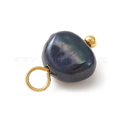 Dyed Natural Cultured Freshwater Pearl Charms&nbsp;PALLOY-JF02133-01