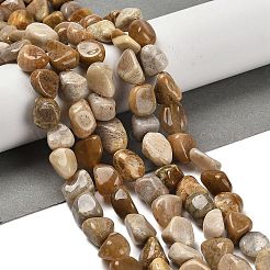 Natural Fossil Coral Beads Strands&nbsp;G-P497-01E-36