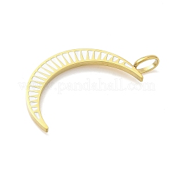 304 Stainless Steel Pendants&nbsp;STAS-D206-03A-G