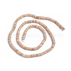 Shell Beads Strands&nbsp;BSHE-G026-01