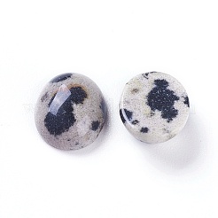 Natural Dalmatian Jasper Cabochons&nbsp;G-L511-B-02