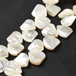 Natural White Shell Beads Strands&nbsp;SHEL-G014-15