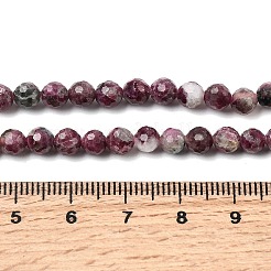 Natural Plum Blossom Tourmaline Beads Strands&nbsp;G-G344-C01-6mm