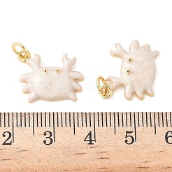 Brass Enamel Pendants&nbsp;KK-CJC0013-10G-01-RS
