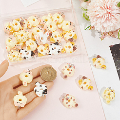 36Pcs Resin Pendants&nbsp;FIND-SC0020-23