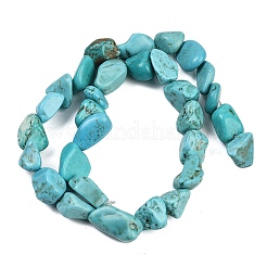 Natural Howlite Beads Strands&nbsp;G-N0312-01C