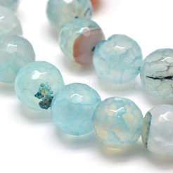 Dyed Natural Agate Faceted Round Beads Strands&nbsp;G-E268-04