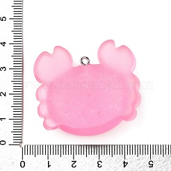 Transparent Resin Pendants&nbsp;FIND-I044-09