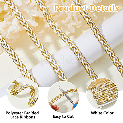 Polyester Braided Lace Ribbons&nbsp;OCOR-WH0105-181B