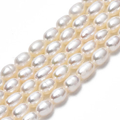 Natural Cultured Freshwater Pearl Beads Strands&nbsp;PEAR-N012-04D