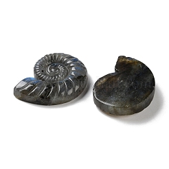 Natural Labradorite Cabochons&nbsp;G-I368-A03