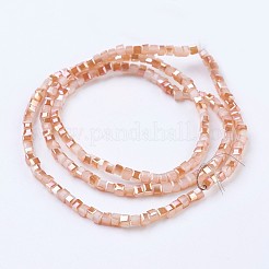 Electroplate Glass Beads Strands&nbsp;X-EGLA-F121-HR-B04