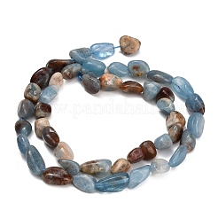 Natural Amazonite Beads Strands&nbsp;GG-CBABC70-B01-01