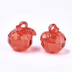 Transparent Acrylic Pendants&nbsp;TACR-S133-119