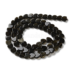 Opalite/Synthetic Goldstone/Natural Golden Sheen Obsidian/Amethyst/Strawberry Quartz Beads Strands&nbsp;G-M403-A45-02