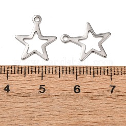 304 Stainless Steel Charms&nbsp;STAS-G176-27P