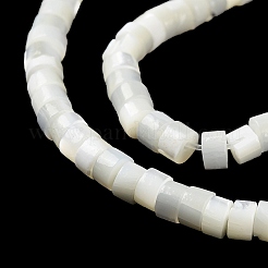 Natural Trochus Shell Beads Strands&nbsp;BSHE-E030-09B-01