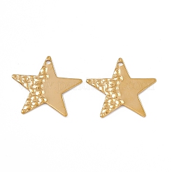 Ion Plating(IP) 304 Stainless Steel Pendants&nbsp;STAS-B031-03G