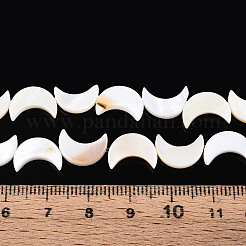 Natural Freshwater Shell Beads Strands&nbsp;SHEL-Q024-015B-01