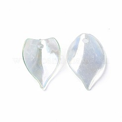 Transparent Acrylic Beads&nbsp;MACR-S373-103-C04