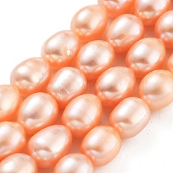 Natural Cultured Freshwater Pearl Beads Strands&nbsp;PEAR-P062-17A-X