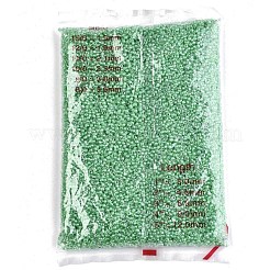 8/0 Glass Seed Beads&nbsp;X-SEED-A015-3mm-2207