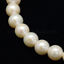 Natural Cultured Freshwater Pearl Beads Strands&nbsp;PEAR-L001-H-13-01