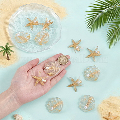 12Pcs 2 Styles Resin Alligator Hair Clips&nbsp;PHAR-UN0001-02