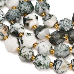 Natural Tree Agate Beads Strands&nbsp;GG-CBA4A3B-B19
