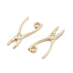 Alloy Pendants&nbsp;PALLOY-K003-09LG