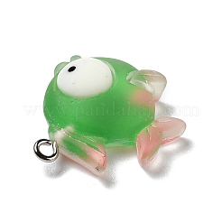 Opaque Resin Pendants&nbsp;RESI-D055-095P
