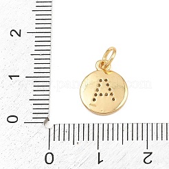 Brass Micro Pave Clear Cubic Zirconia Charms&nbsp;CU-CBA56CE-12G