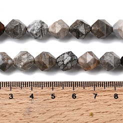Natural Fossil Coral Beads Strands&nbsp;G-Z119-A26-03