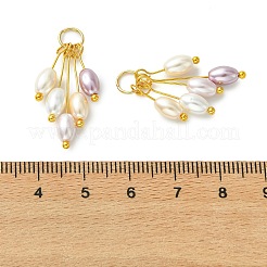 Electroplated Shell Pearl Pendants&nbsp;PALLOY-JF05645
