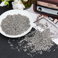 Stainless Steel Beads&nbsp;STAS-WH0017-062